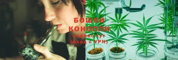 сатива Каменногорск