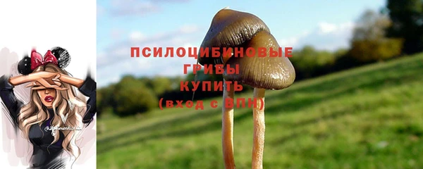 таблы Каменка
