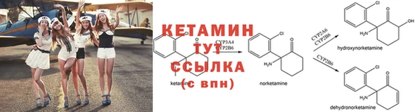 сатива Каменногорск