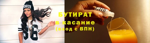 сатива Каменногорск
