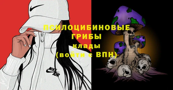 таблы Каменка