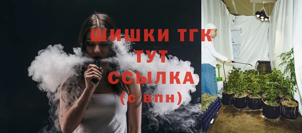 сатива Каменногорск